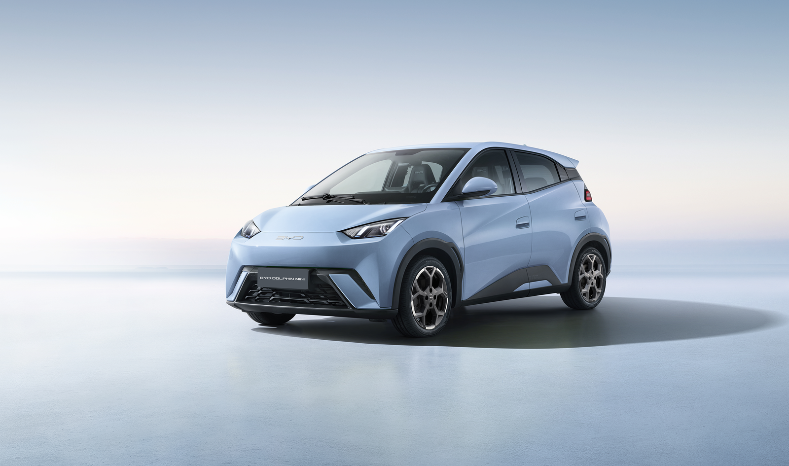 BYD Dolphin Mini - Economia